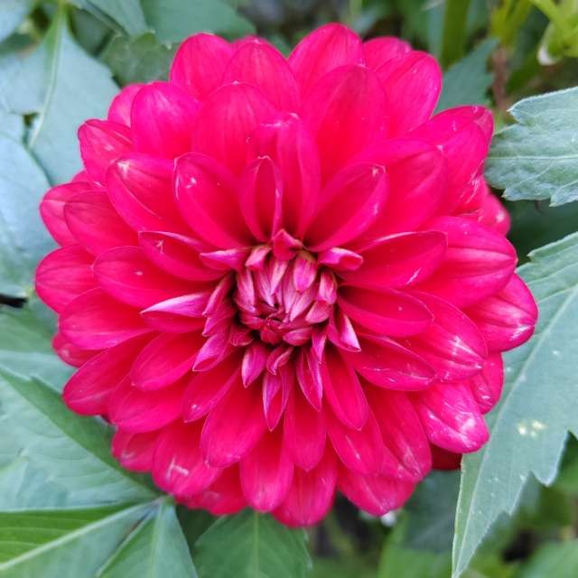 Wettervorhersagen mit schönen Fotos von Albert_Smelovtsev