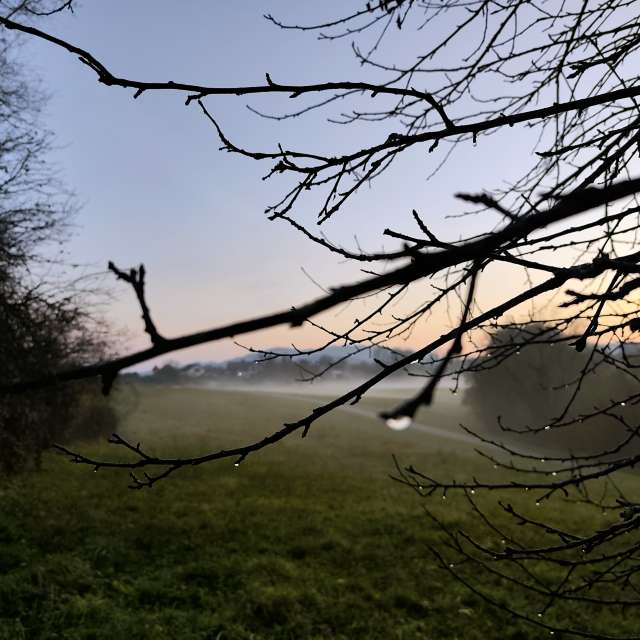 Anamarijaの美しい写真による天気予報