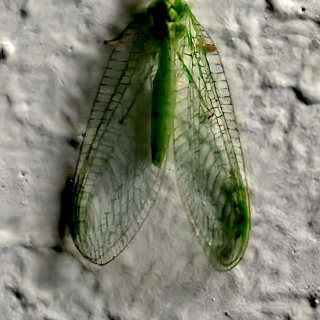 Previsões do tempo com lindas fotos de Igor-65