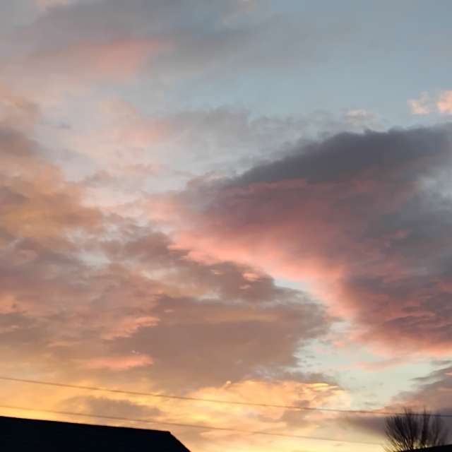 天气预报，带Lea71精美的照片