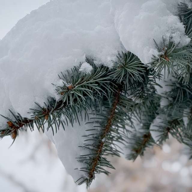 Прогнозы погоды с чудесными фотографиями, сделанными LMukasz