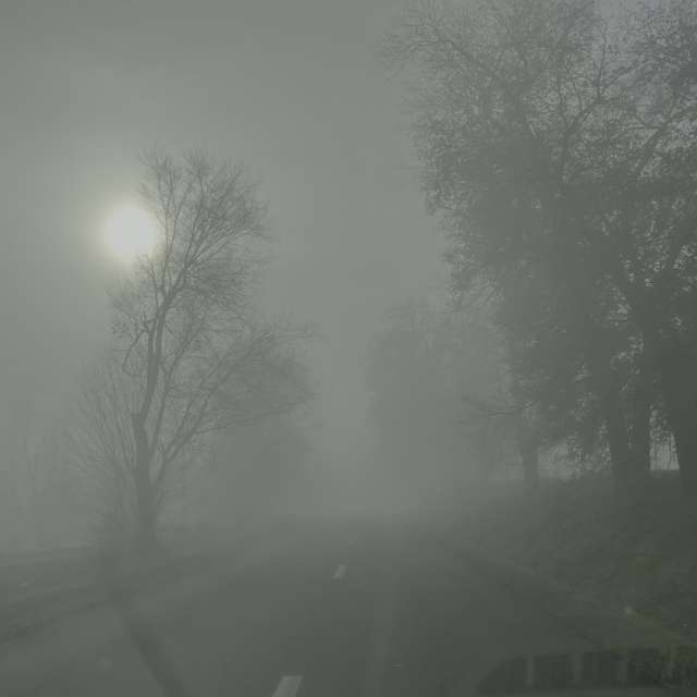 Walking. Weather forecasts with beautiful photos by Tudor Photos in Chisinau