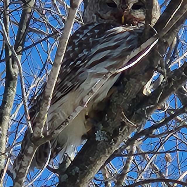 Wetter Photos Welt. Wettervorhersagen mit schönen Fotos von KevinG