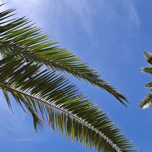 Weather forecasts with beautiful photos by Steffi316