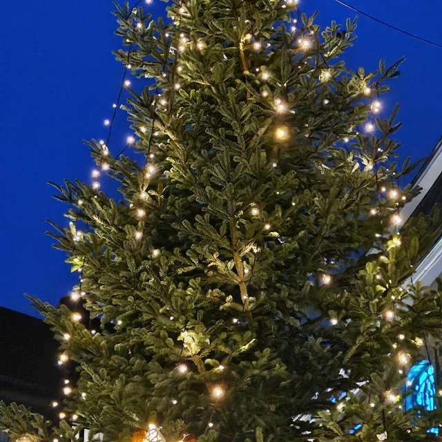 House. Weather forecasts with beautiful photos by Seni Photos in Velbert