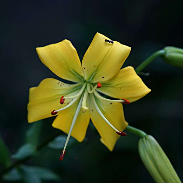 Spring. Weather forecasts with beautiful photos by tony5636 Photos in World