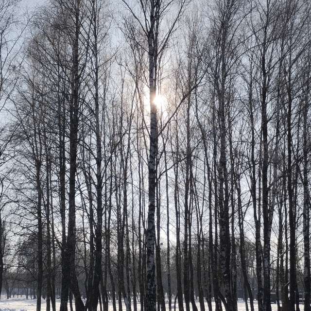 天气预报，带Helo_Sam精美的照片