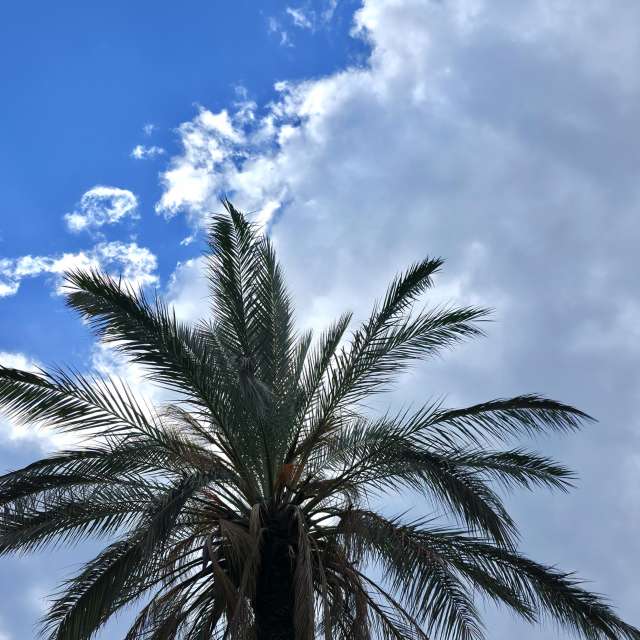 Prévisions météo avec de superbes photos de Traveling-Puma