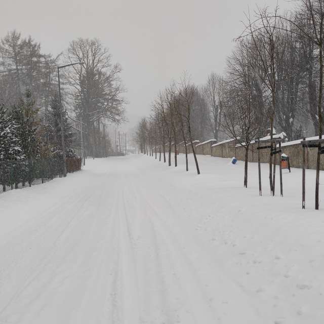 Kreuzen. Wettervorhersagen mit schönen Fotos von Kripo Fotos Ladek Zdroj