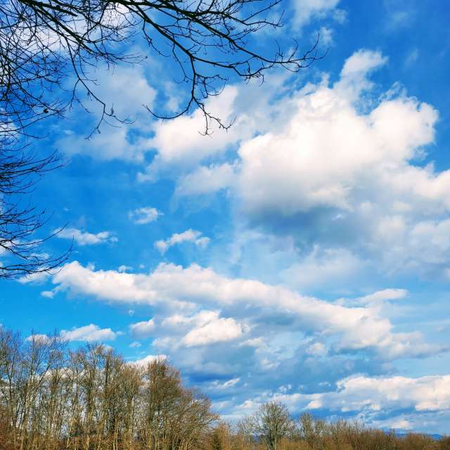 Plane. Weather forecasts with beautiful photos by Anamarija Photos in Slovenia