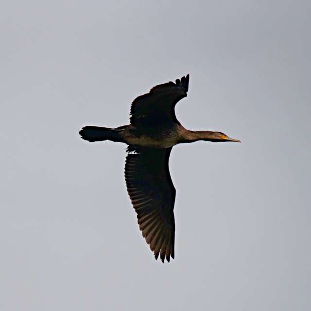 Weather forecasts with beautiful photos by tony5636