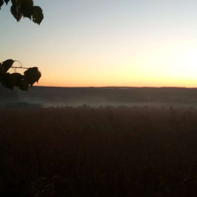 Field. Weather forecasts with beautiful photos by urashm Photos in Bohdanivtsi