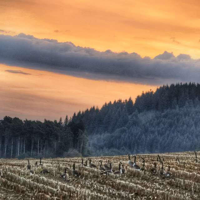 Wettervorhersagen mit schönen Fotos von Lotti5507