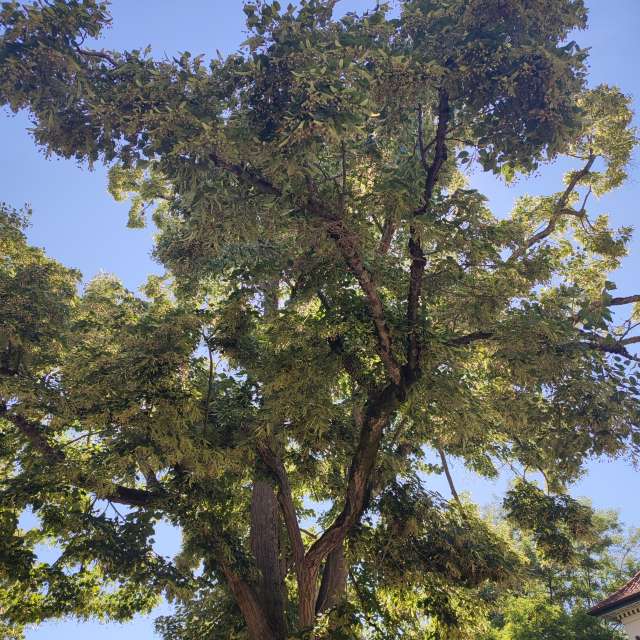 High. Weather forecasts with beautiful photos by Tercis Photos in Ettlingen