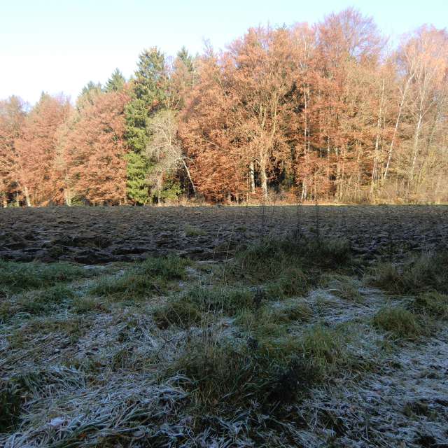 Weather forecasts with beautiful photos by Frank-Michael Preuss