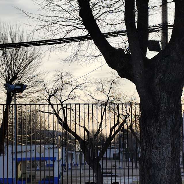 Wettervorhersagen mit schönen Fotos von M Paz Basanta Costea