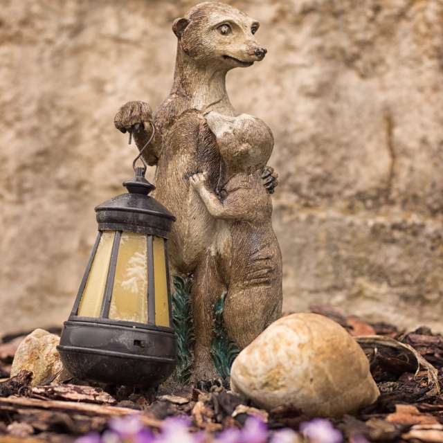 天气预报，带Axys精美的照片