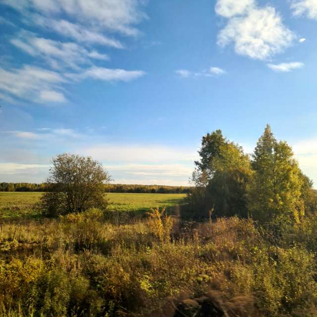 天气预报，带HelenR精美的照片