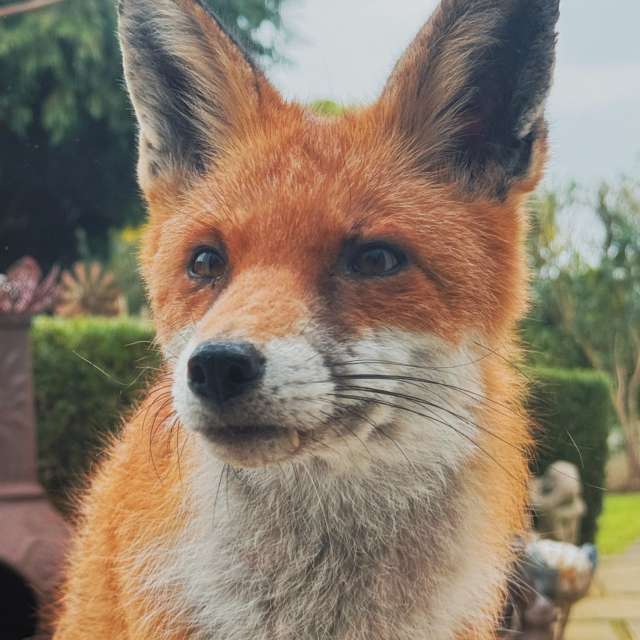 世界の天気写真. Lolliの美しい写真による天気予報