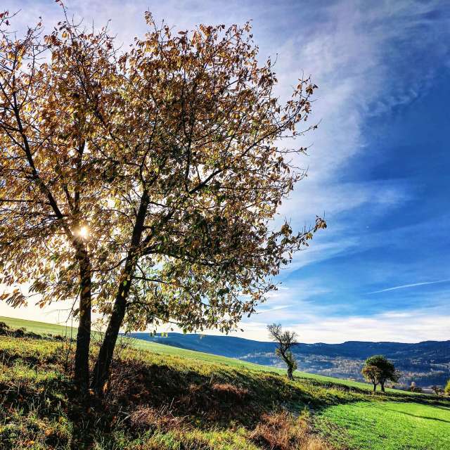 Eating. Weather forecasts with beautiful photos by hejpetrpepa Photos in Plzeň Region