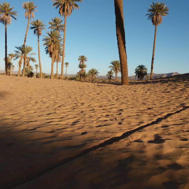 Photos Sablonneux. Prévisions météo avec de superbes photos de BELGHOUL-KADDA de Béchar