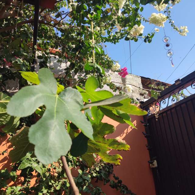 Group. Weather forecasts with beautiful photos by Giskz Photos in World