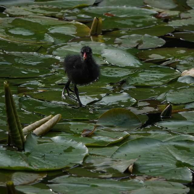 Fotos Clima. Previsões do tempo com lindas fotos de Vasek325 em Praha 12