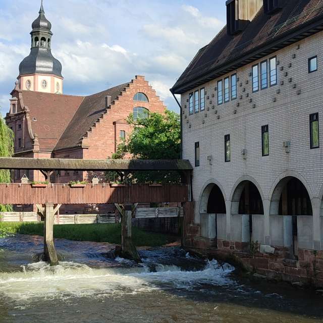 Green. Weather forecasts with beautiful photos by Tercis Photos in Ettlingen