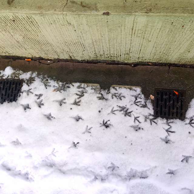 Прогнозы погоды с чудесными фотографиями, сделанными Zorrra