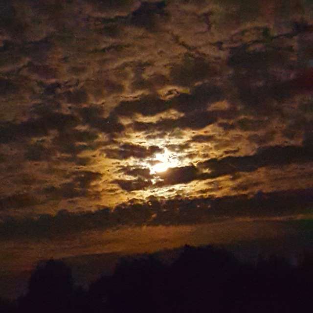 Fotos Pizza. Previsões do tempo com lindas fotos de Seni em Velbert