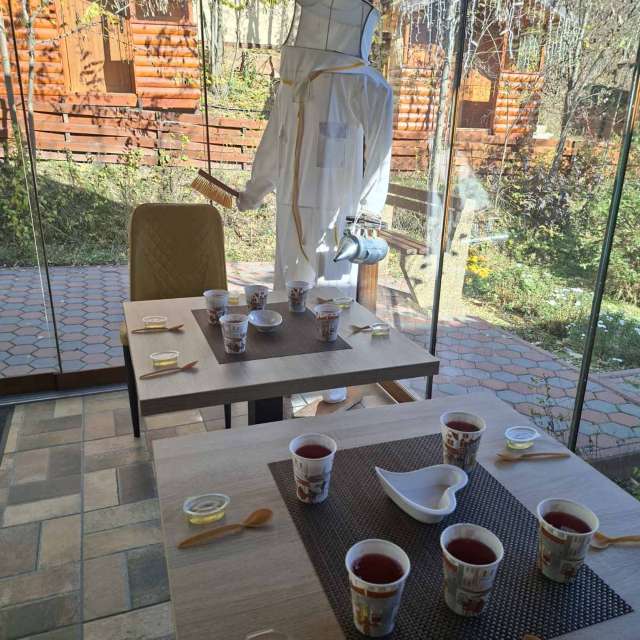 Prévisions météo avec de superbes photos de Sonia