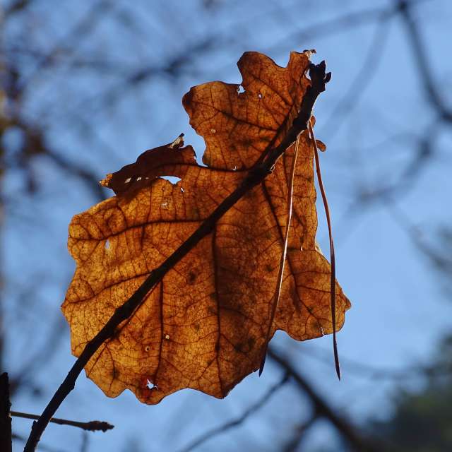 A sign. Weather forecasts with beautiful photos by Михаил Гавриков Photos in Kharkiv