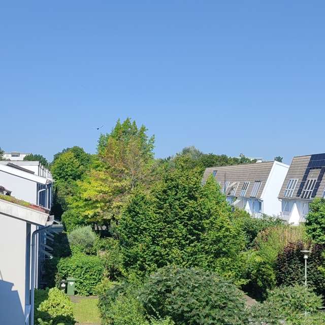 Truck. Weather forecasts with beautiful photos by Tercis Photos in Ettlingen