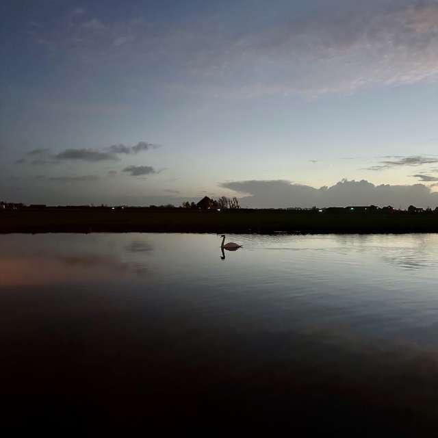 Prévisions météo avec de superbes photos de Riverbird