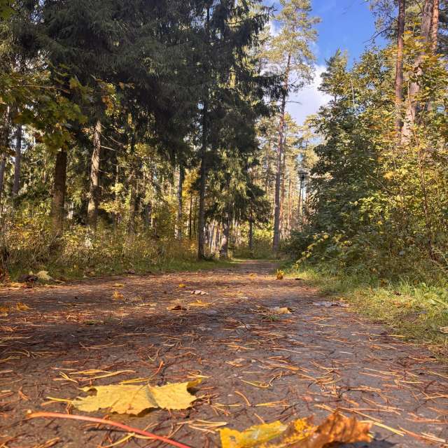 Weather forecasts with beautiful photos by Ewwa393