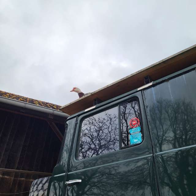 aida-khaldiの美しい写真による天気予報