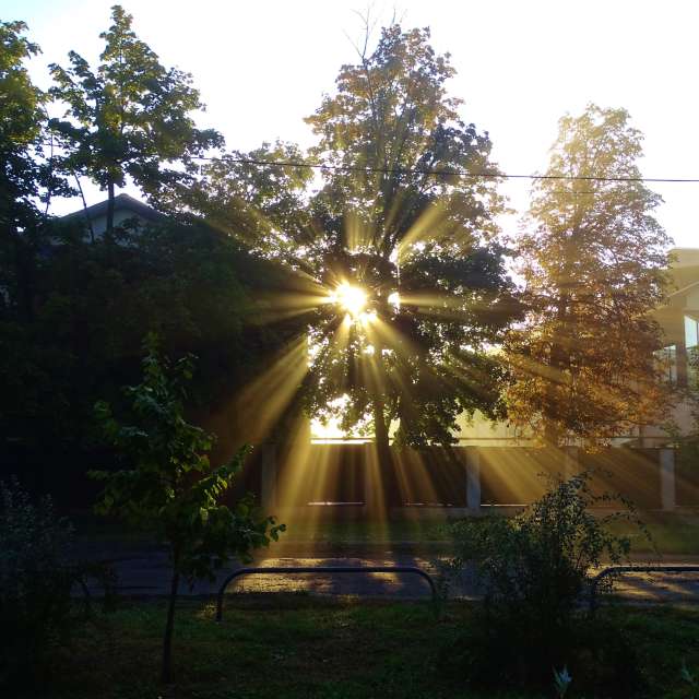 Road. Weather forecasts with beautiful photos by Михаил Гавриков Photos in Kharkiv