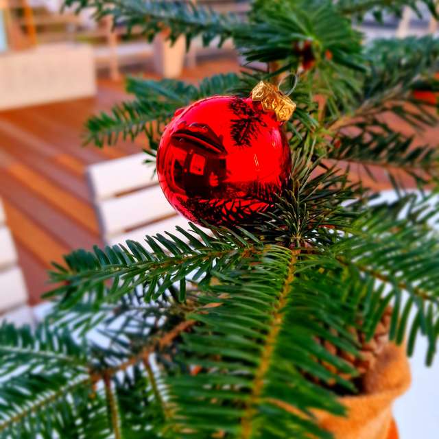 Fotos Palma. Previsões do tempo com lindas fotos de Seni em Velbert