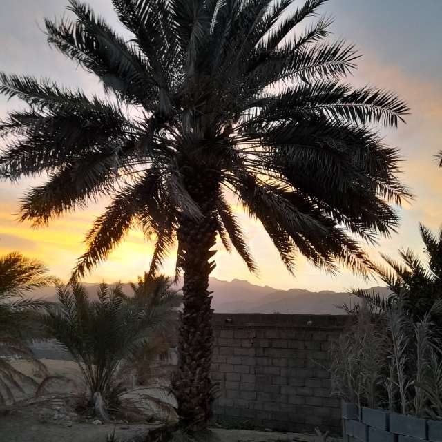 Fotos do tempo em Mundo. Previsões do tempo com lindas fotos de fromIran