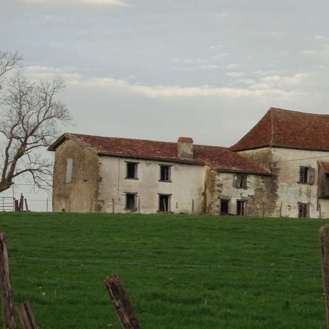 Grazing. Weather forecasts with beautiful photos by Rikar Gartzia Photos in Domezain-Berraute