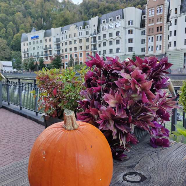 Aus Holz. Wettervorhersagen mit schönen Fotos von Albert_Smelovtsev Fotos Roza Khutor