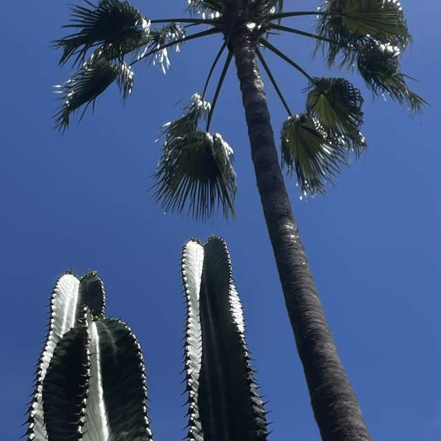 Prévisions météo avec de superbes photos de Bertrand06