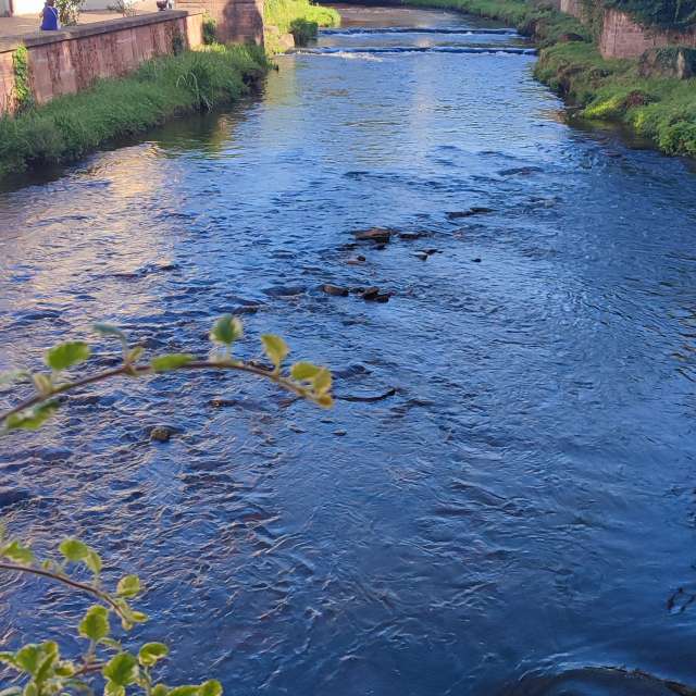 Body. Weather forecasts with beautiful photos by Tercis Photos in Ettlingen