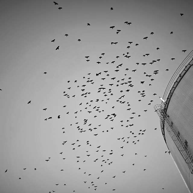 Прогнозы погоды с чудесными фотографиями, сделанными derlops