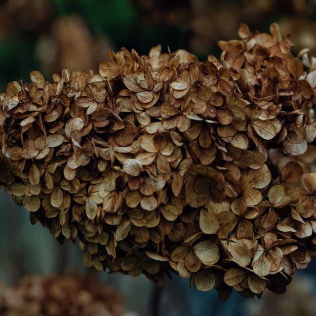 Weather forecasts with beautiful photos by martinm611