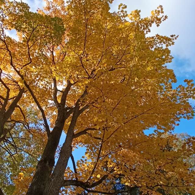 Прогнозы погоды с чудесными фотографиями, сделанными Lena_Glukhova