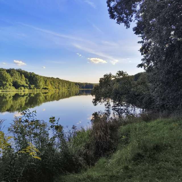 Pasture. Weather forecasts with beautiful photos by Aleksei Photos in Tula