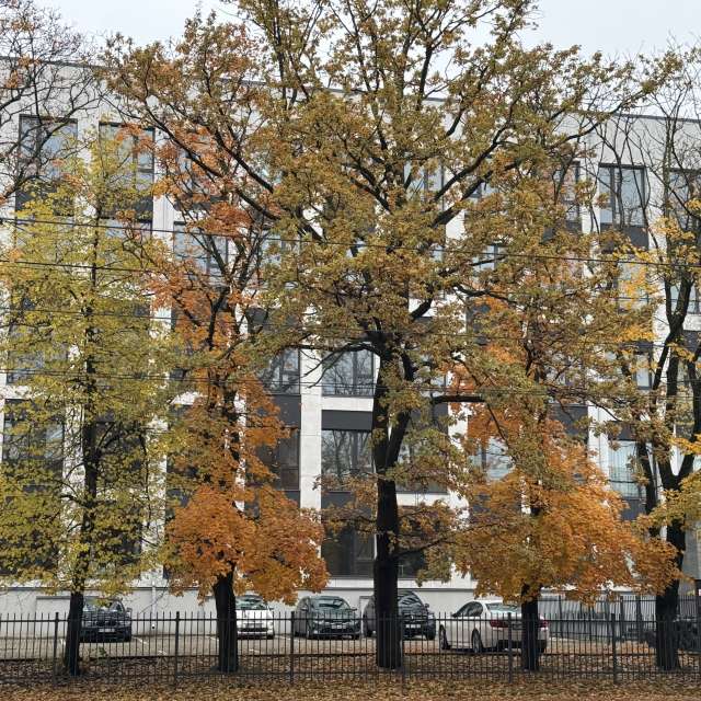 Bench. Weather forecasts with beautiful photos by Svet-Lana Photos in Rīga