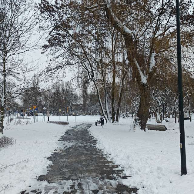 Fotos del Cruz. Pronósticos del tiempo con hermosas fotos de zjabri en Cracovia