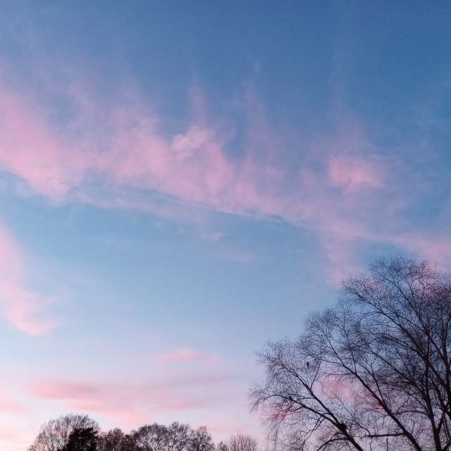 Photos Homme. Prévisions météo avec de superbes photos de jeannecozzarin de North Carolina
